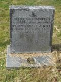 image of grave number 293360